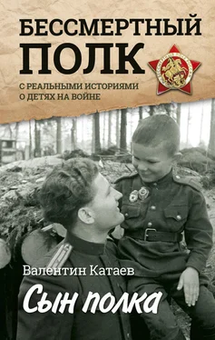 Валентин Катаев Сын полка. Реальные истории о детях на войне (сборник) обложка книги