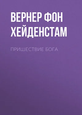 Вернер фон Хейденстам Пришествие Бога обложка книги