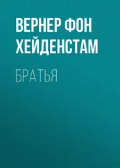 Вернер фон Хейденстам - Братья