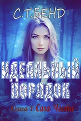 С. Бенд - Идеальный порядок (ЛП)