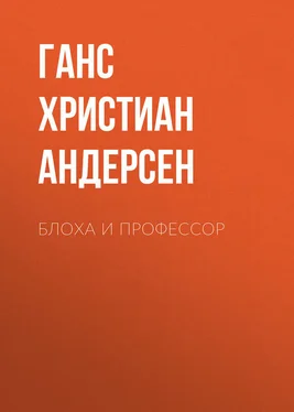 Ганс Андерсен Блоха и профессор обложка книги