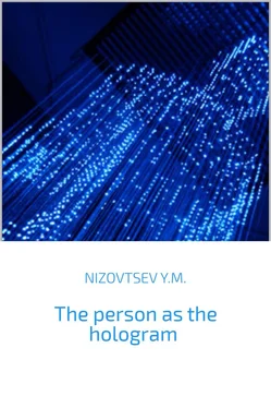 Юрий Низовцев The person as the hologram обложка книги