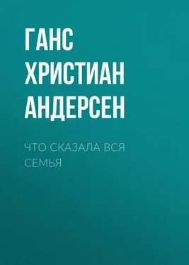 Ганс Андерсен Что сказала вся семья обложка книги