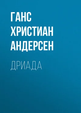 Ганс Андерсен Дриада обложка книги