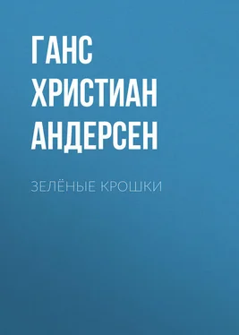 Ганс Андерсен Зелёные крошки обложка книги