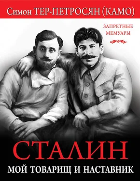 Симон Тер-Петросян Сталин. Мой товарищ и наставник обложка книги