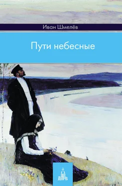 Иван Шмелев Пути небесные обложка книги