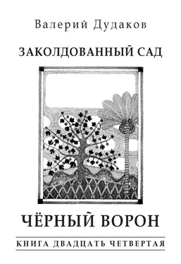 Валерий Дудаков Заколдованный сад. Черный ворон обложка книги