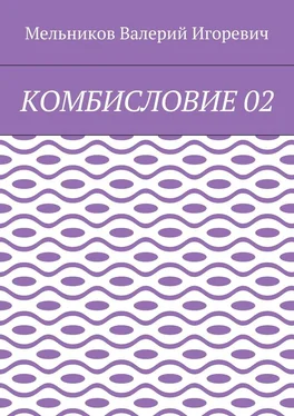 Валерий Мельников КОМБИСЛОВИЕ 02 обложка книги