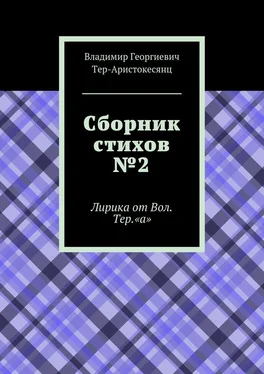 Владимир Тер-Аристокесянц Сборник стихов №2. Лирика от Вол. Тер. «а» обложка книги