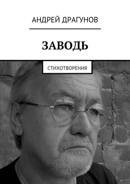 Андрей Драгунов Заводь. Стихотворения обложка книги