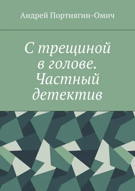 Андрей Портнягин-Омич С трещиной в голове. Частный детектив обложка книги