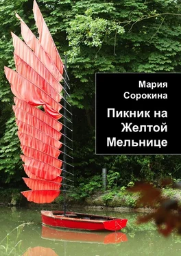 Мария Сорокина Пикник на Желтой Мельнице обложка книги