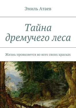 Эмиль Атаев Тайна дремучего леса. Жизнь проявляется во всех своих красках обложка книги