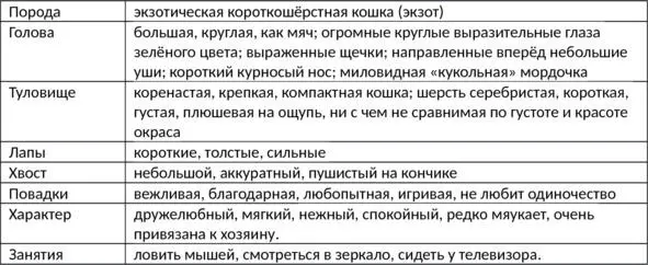 Придумываем начало составляем описание на основе заготовленных языковых - фото 6