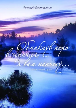 Геннадий Дормидонтов Обмакнув перо в чернила, я вам напишу… Голос моей души обложка книги