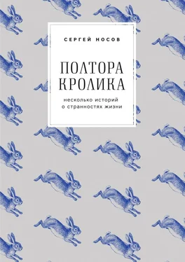 Сергей Носов Полтора кролика. Несколько историй о странностях жизни обложка книги