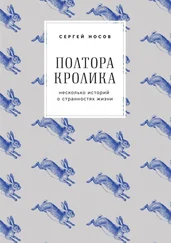 Сергей Носов - Полтора кролика. Несколько историй о странностях жизни