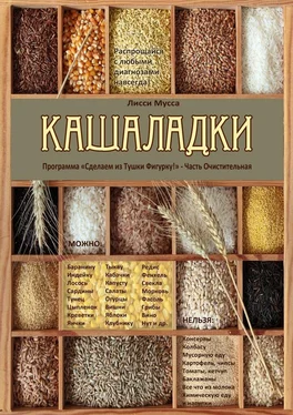 Лисси Мусса Кашаладки. Программа «Сделаем из Тушки Фигурку!» Часть Очистительная обложка книги