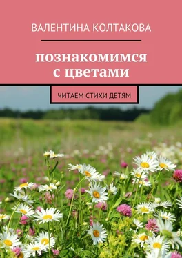 Валентина Колтакова Познакомимся с цветами. Читаем стихи детям обложка книги