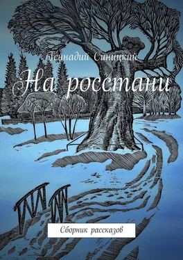 Геннадий Синицкий На росстани. Сборник рассказов обложка книги