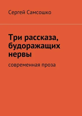 Сергей Самсошко Три рассказа, будоражащих нервы. Современная проза обложка книги