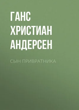 Ганс Андерсен Сын привратника обложка книги