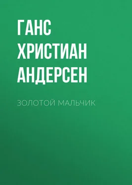 Ганс Андерсен Золотой мальчик обложка книги