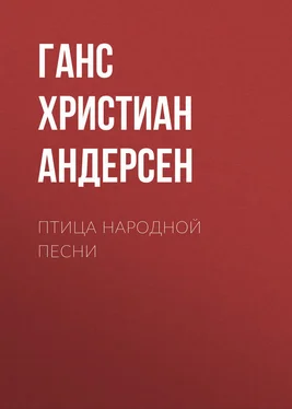 Ганс Андерсен Птица народной песни обложка книги