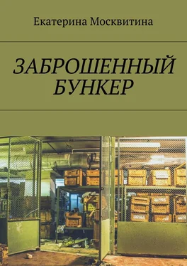 Екатерина Москвитина Заброшенный бункер обложка книги