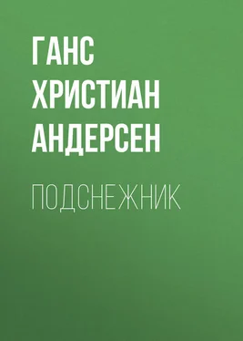 Ганс Андерсен Подснежник обложка книги