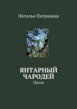 Наталья Патрацкая Янтарный чародей. Проза обложка книги