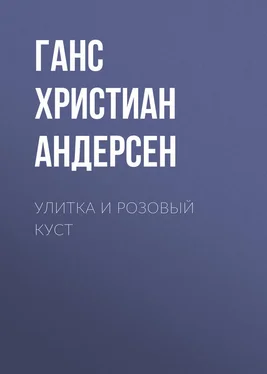 Ганс Андерсен Улитка и розовый куст обложка книги