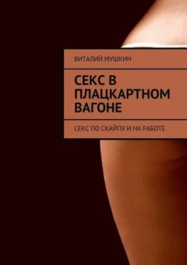 Виталий Мушкин Секс в плацкартном вагоне. Секс по Скайпу и на работе обложка книги