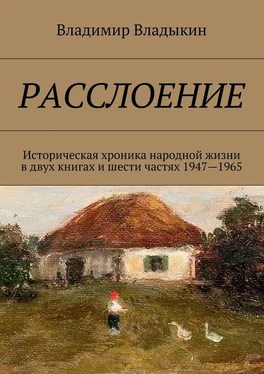 Владимир Владыкин Расслоение. Историческая хроника народной жизни в двух книгах и шести частях 1947—1965 обложка книги