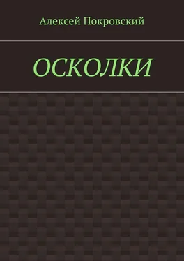 Алексей Покровский Осколки обложка книги