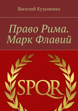 Василий Кузьменко Право Рима. Марк Флавий обложка книги