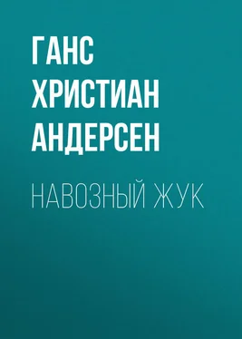 Ганс Андерсен Навозный жук обложка книги