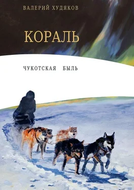Валерий Худяков Кораль. Чукотская быль обложка книги