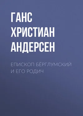 Ганс Андерсен Епископ Бёрглумский и его родич обложка книги