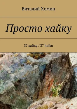 Виталий Хомин Просто хайку. 37 хайку / 37 haiku обложка книги