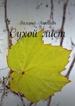 Валерий Антипин Сухой лист обложка книги