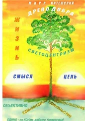 Мирр Китежский - Жизнь - смысл и цель