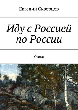 Евгений Скворцов Иду с Россией по России. Стихи обложка книги