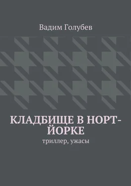 Вадим Голубев Кладбище в Норт-Йорке. Триллер, ужасы обложка книги