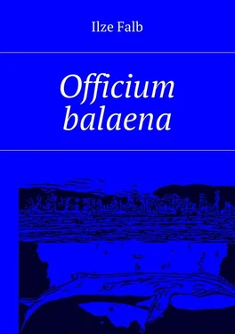 Ilze Falb Officium balaena обложка книги