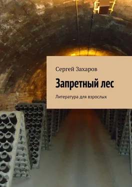 Сергей Захаров Запретный лес. Литература для взрослых обложка книги