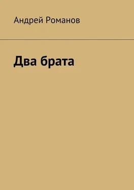 Андрей Романов Два брата обложка книги