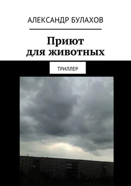 Александр Булахов Приют для животных. Триллер обложка книги