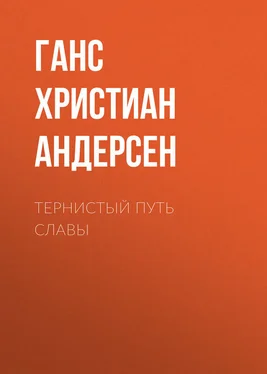 Ганс Андерсен Тернистый путь славы обложка книги